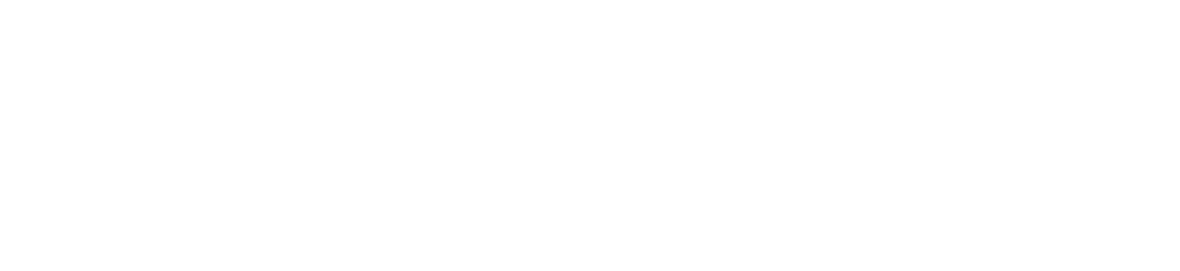 AlbatroVision
