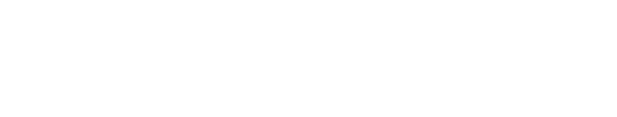 AlbatroVision